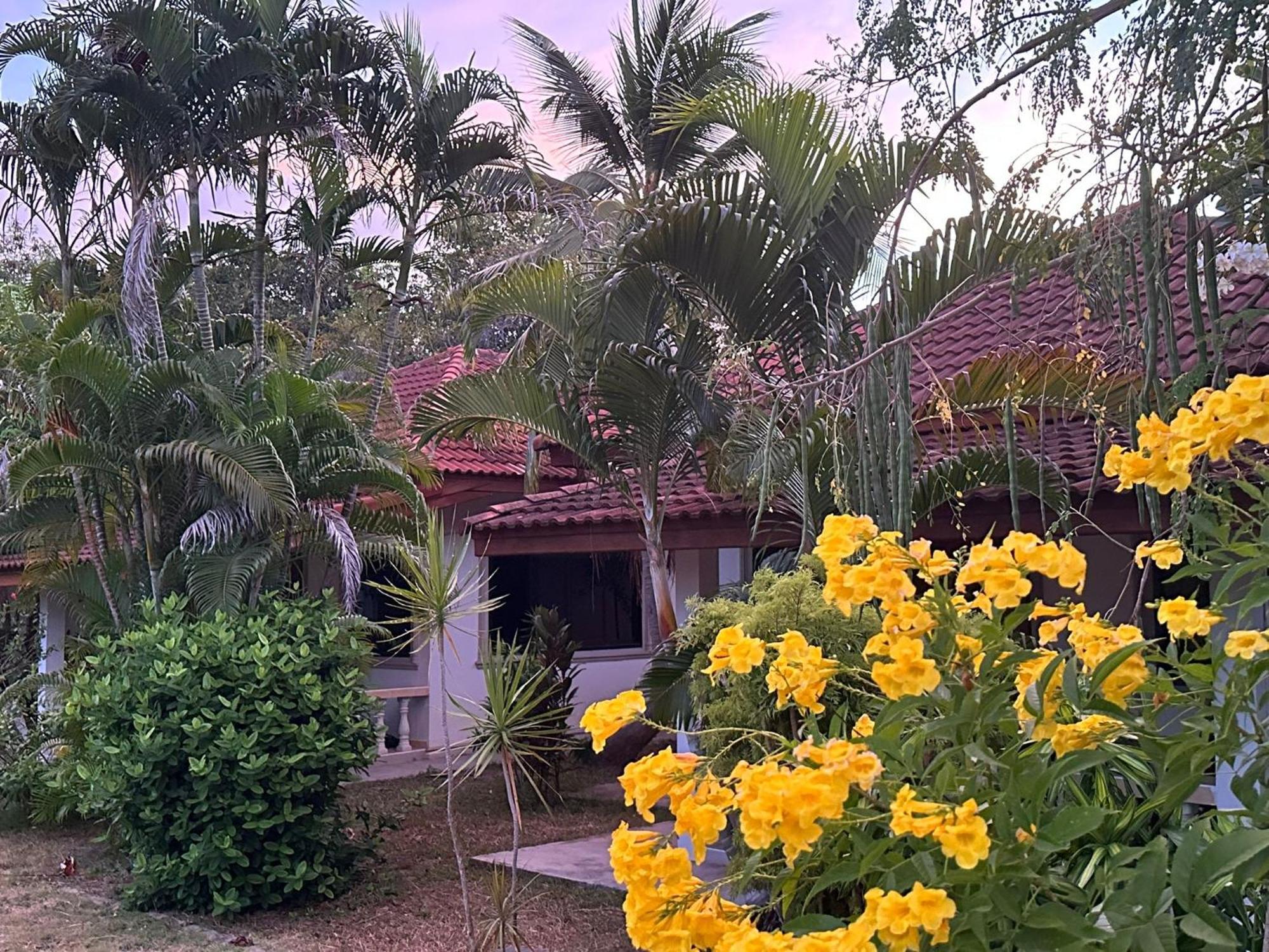 Samui Garden Resort Bang Rak Beach  Esterno foto