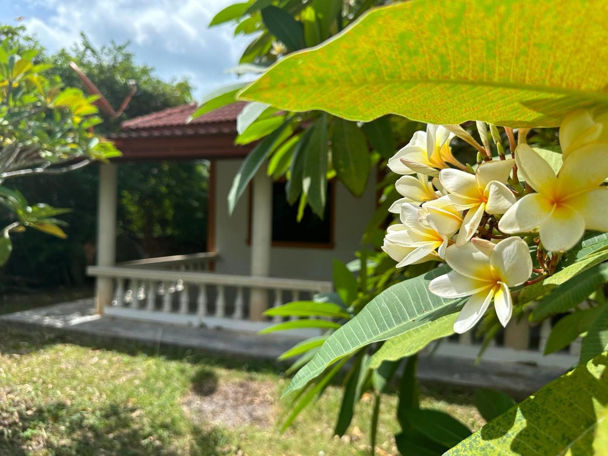 Samui Garden Resort Bang Rak Beach  Esterno foto