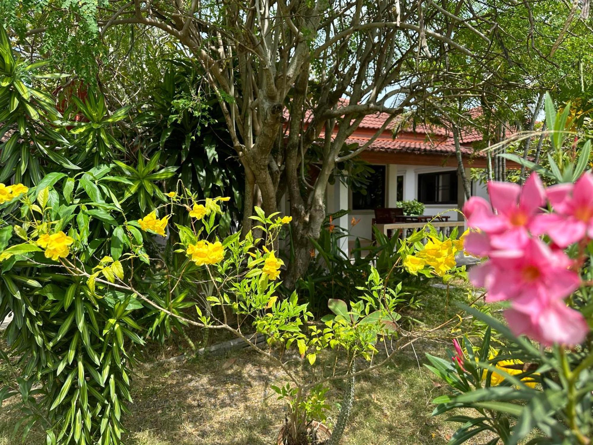 Samui Garden Resort Bang Rak Beach  Esterno foto